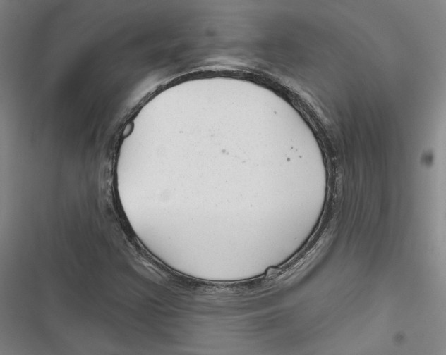 X0000116791355201001151053