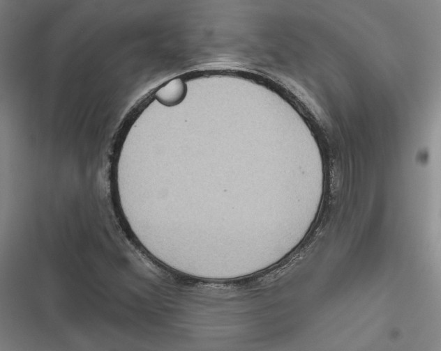 X0000116791356201001151053