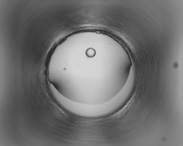 X0000116791357201001151053