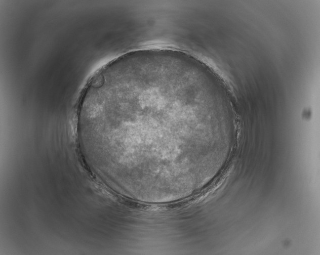 X0000116791358201001151053