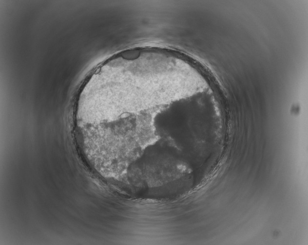 X0000116791359201001151053
