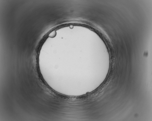 X0000116791360201001151053