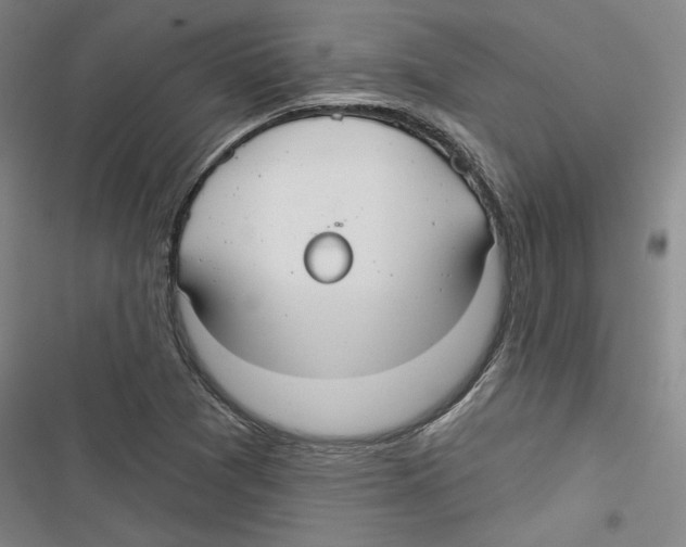 X0000116791361201001151053