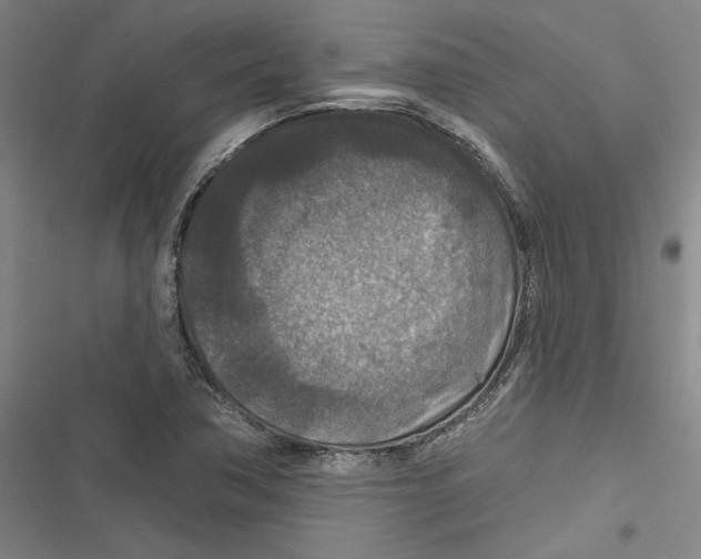 X0000116791362201001151053