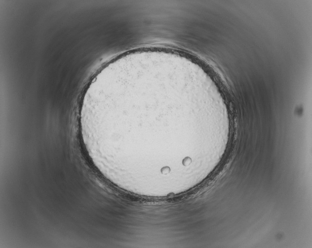X0000116791363201001151053
