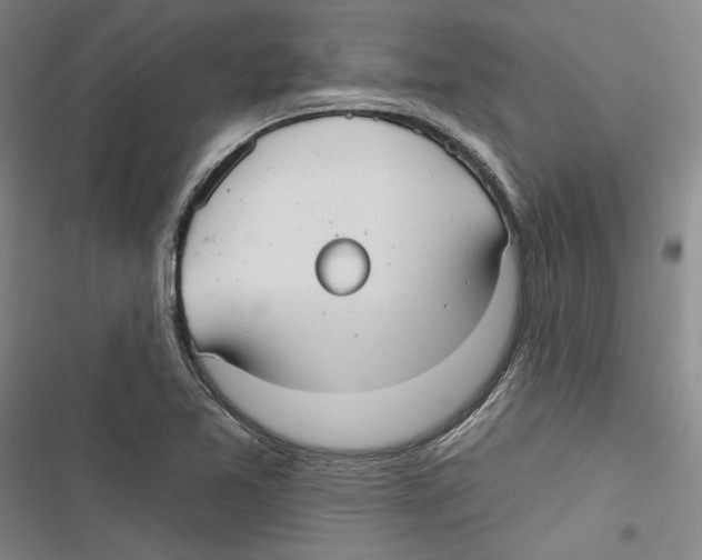 X0000116791365201001151053