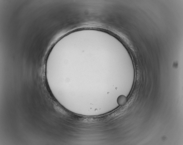 X0000116791366201001151053