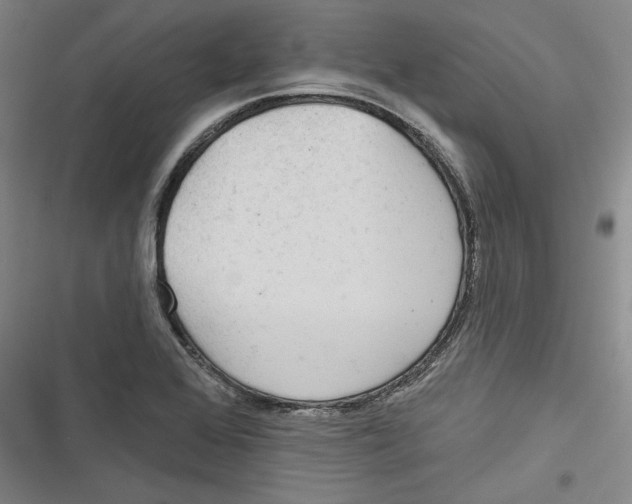 X0000116791368201001151053