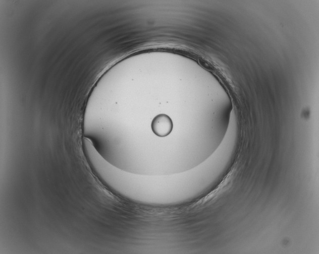 X0000116791369201001151053