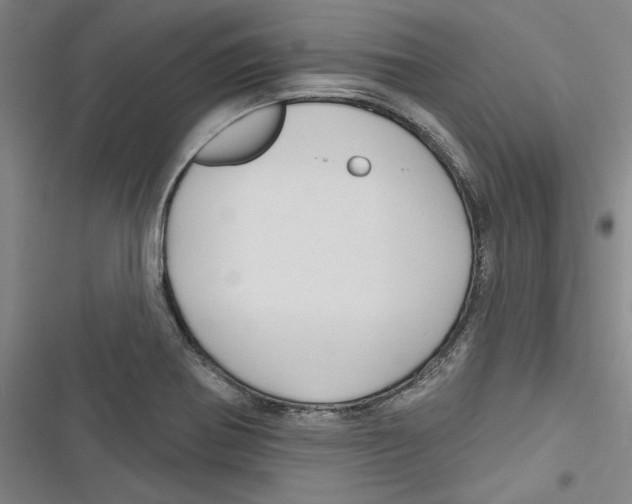 X0000116791370201001151053