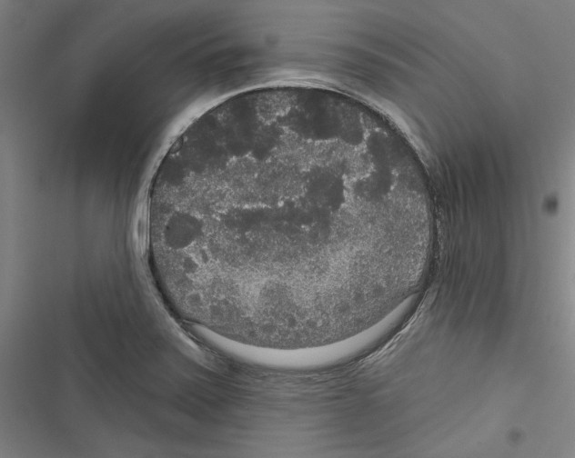X0000116791371201001151053