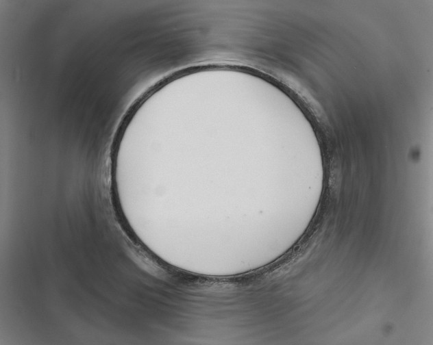 X0000116791372201001151053
