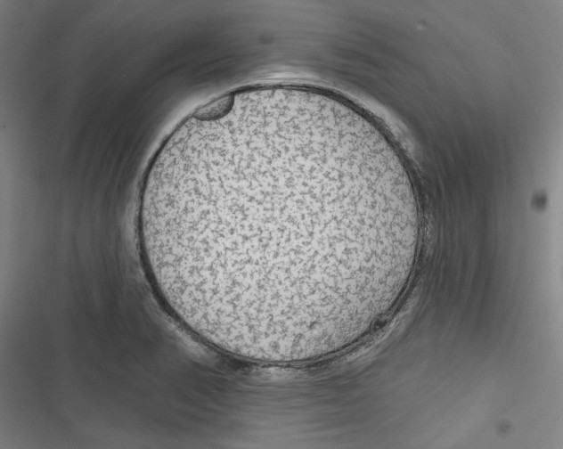 X0000116791374201001151053