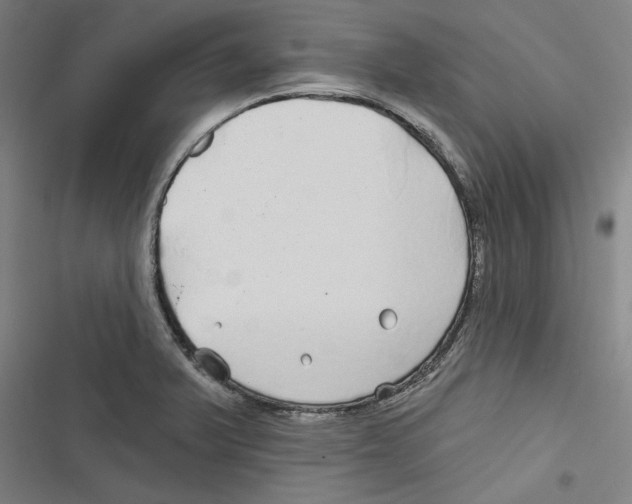 X0000116791375201001151052