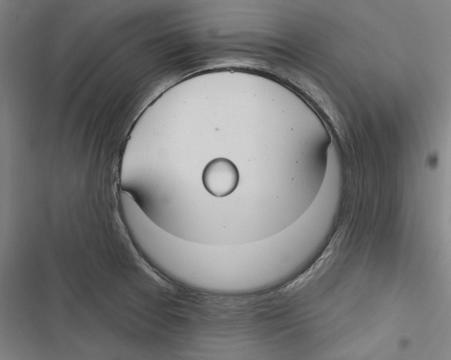 X0000116791377201001151052