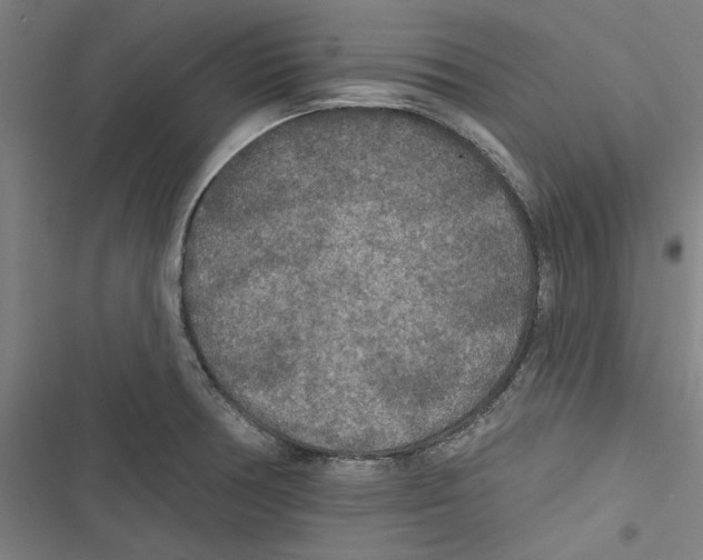 X0000116791378201001151052