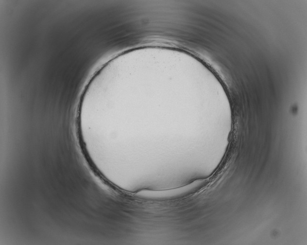 X0000116791379201001151052