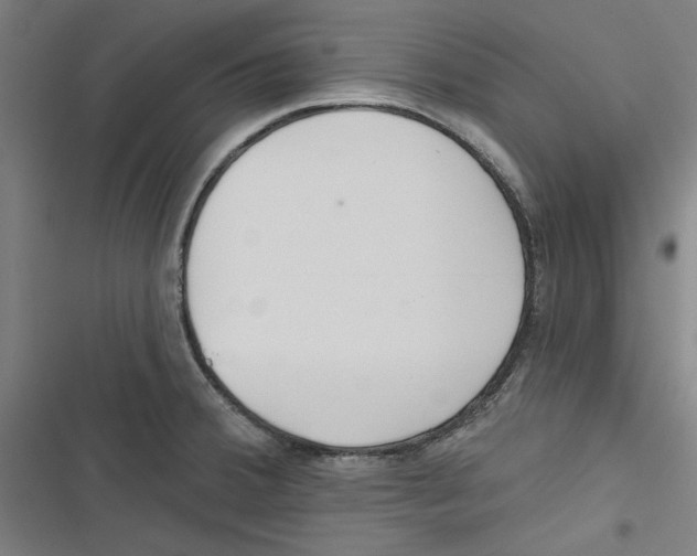 X0000116791380201001151052