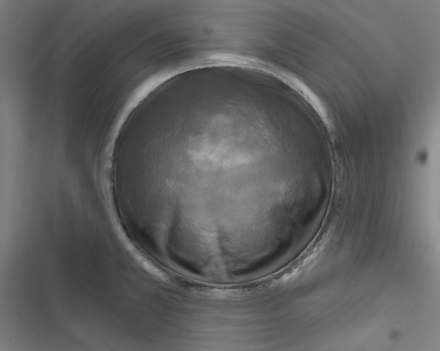 X0000116791381201001151052