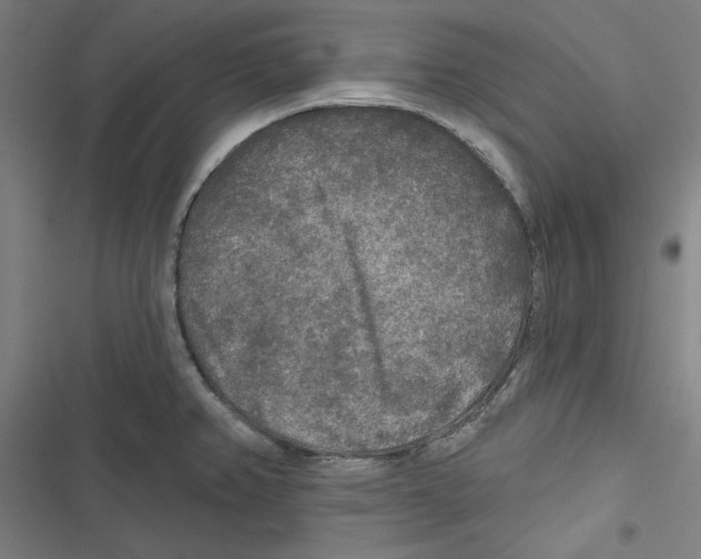 X0000116791382201001151052