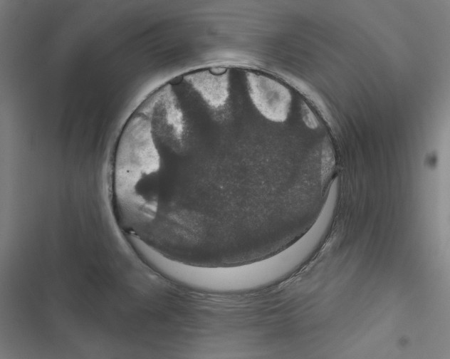 X0000116791383201001151052