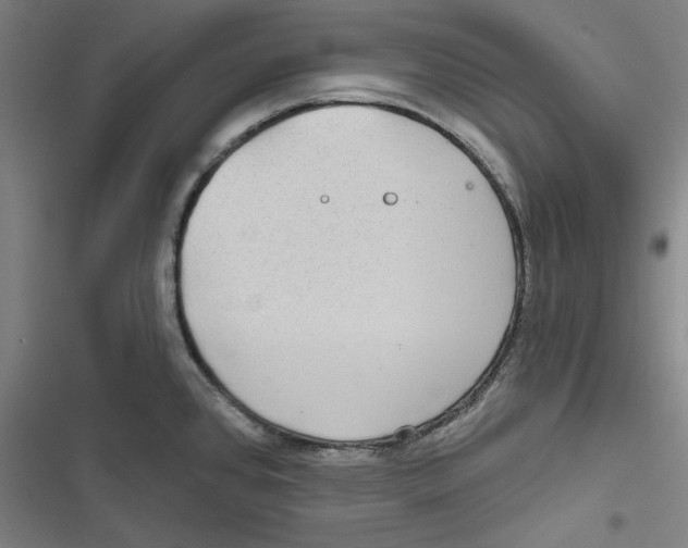 X0000116791384201001151052