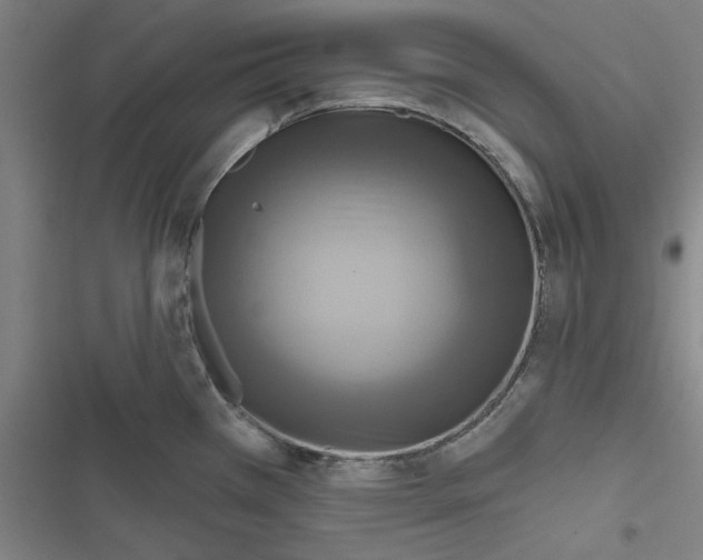 X0000116791385201001151052