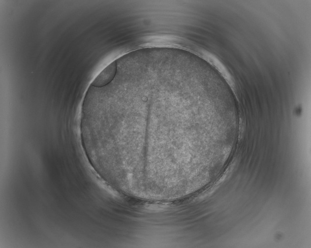 X0000116791386201001151052