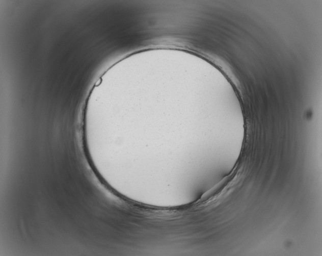 X0000116791387201001151052