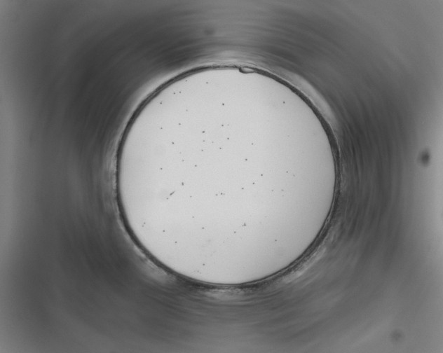 X0000116791388201001151052