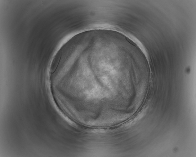 X0000116791389201001151052