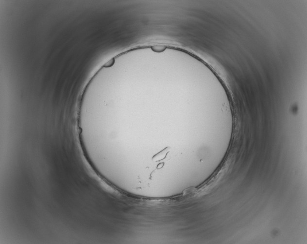 X0000116791390201001151052