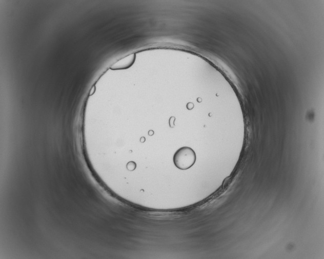 X0000116791391201001151052