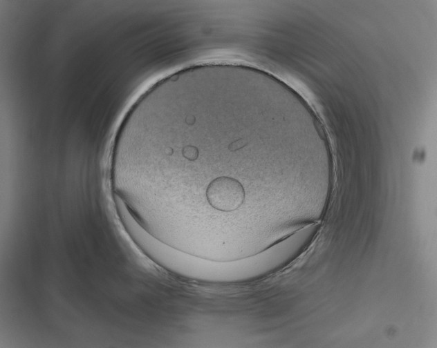 X0000116791392201001151052