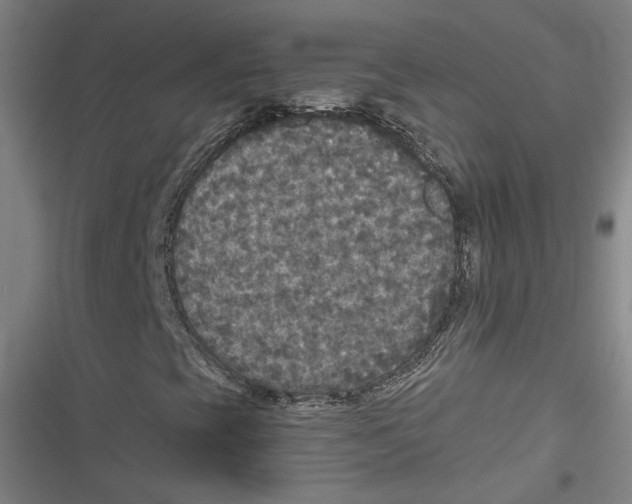X0000116791393201001151052