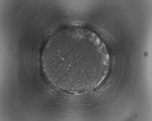 X0000116791394201001151052