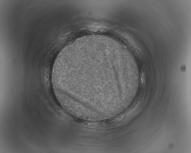 X0000116791396201001151052