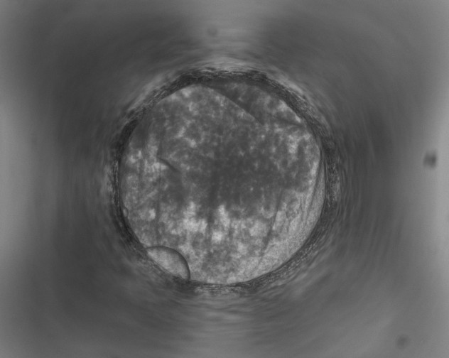 X0000116791397201001151052