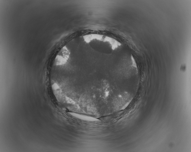 X0000116791398201001151052