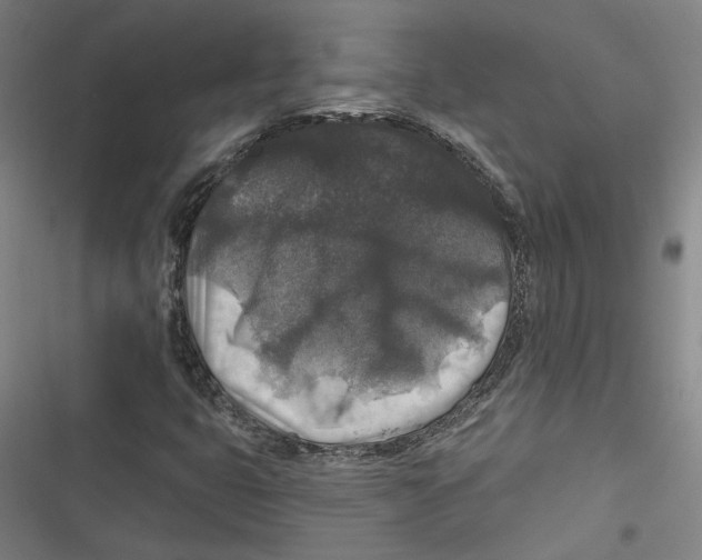 X0000116791399201001151052