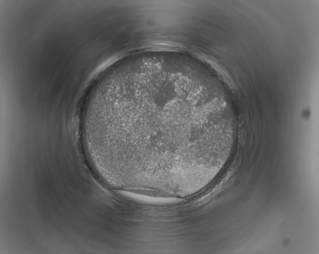 X0000116791402201001151052