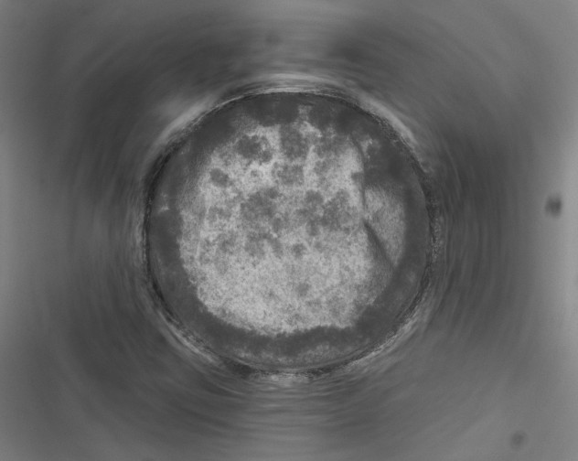 X0000116791403201001151052