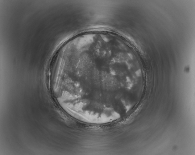 X0000116791405201001151052