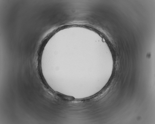 X0000116791406201001151052