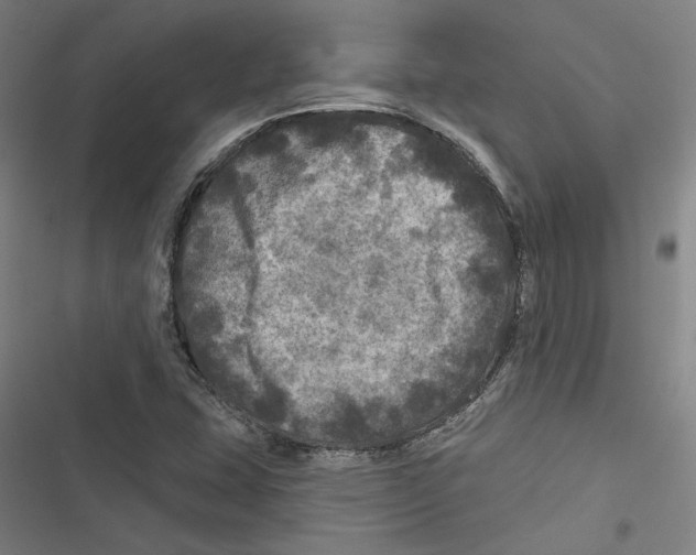 X0000116791407201001151052