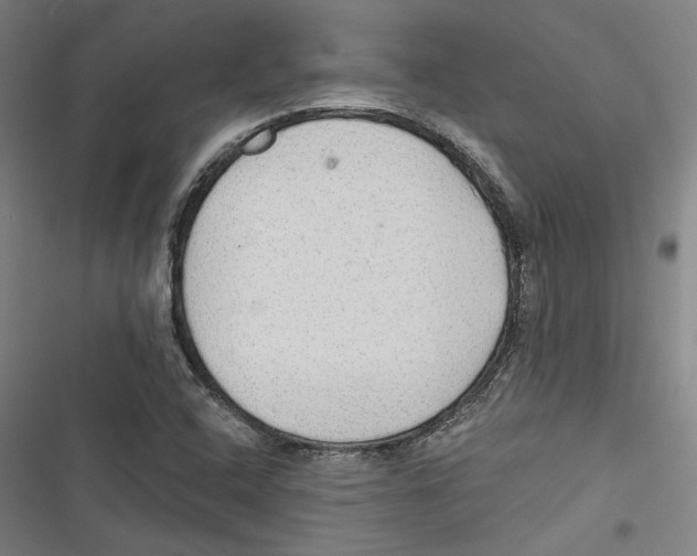 X0000116791408201001151052