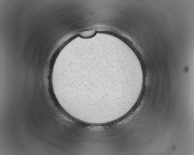 X0000116791410201001151052