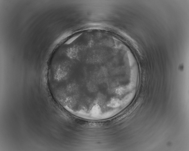 X0000116791411201001151052