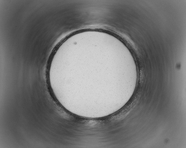 X0000116791412201001151052