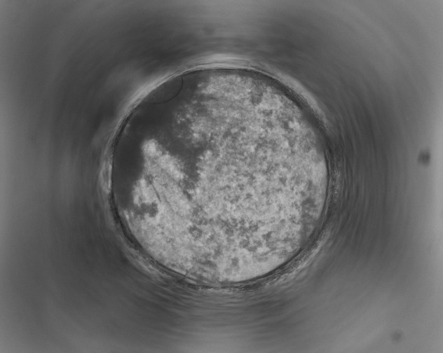 X0000116791413201001151052